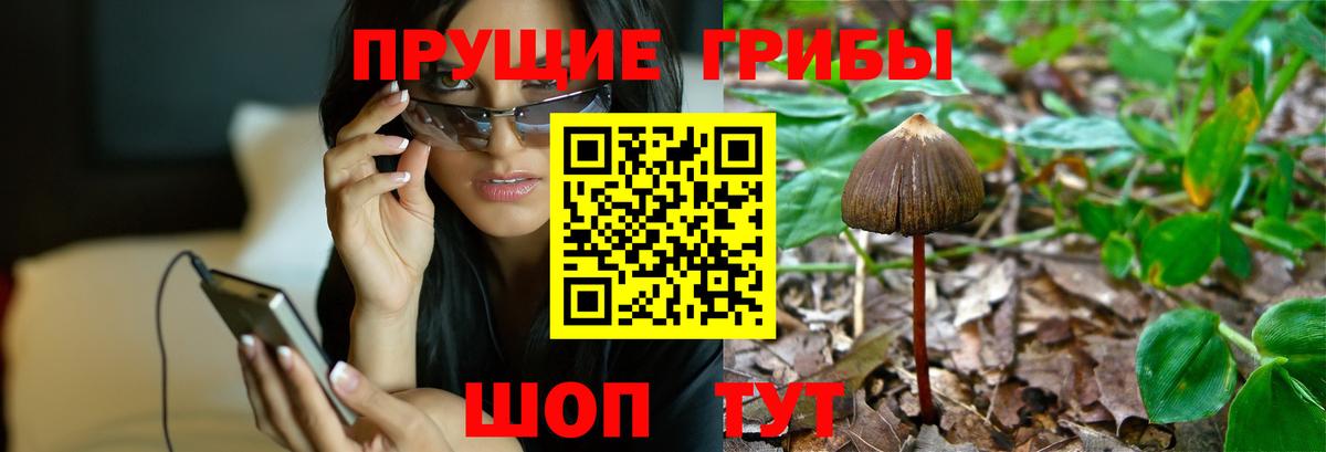 Галлюциногенные грибы MAGIC MUSHROOMS Кизилюрт